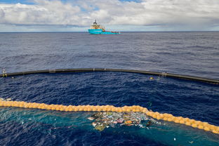 最新科学研究表明并不是所有的海洋塑料垃圾都很难自然分解